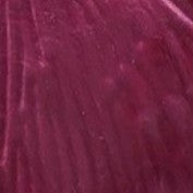 Tree Of Life Magnetic Brooch