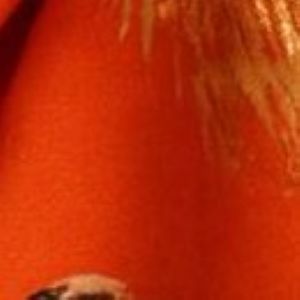 Golden Thistle Scarf