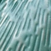 Tree Of Life Magnetic Brooch