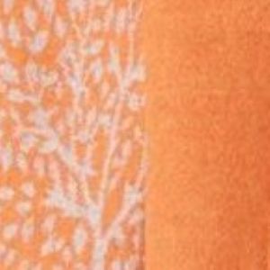 Gift Boxed Cashmere Tree Of Life Scarf