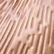 Tree Of Life Magnetic Brooch