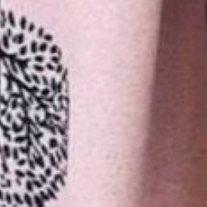 Gift Boxed Cashmere Tree Of Life Scarf