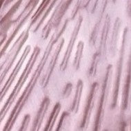 Tree Of Life Magnetic Brooch