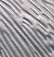 Tree Of Life Magnetic Brooch