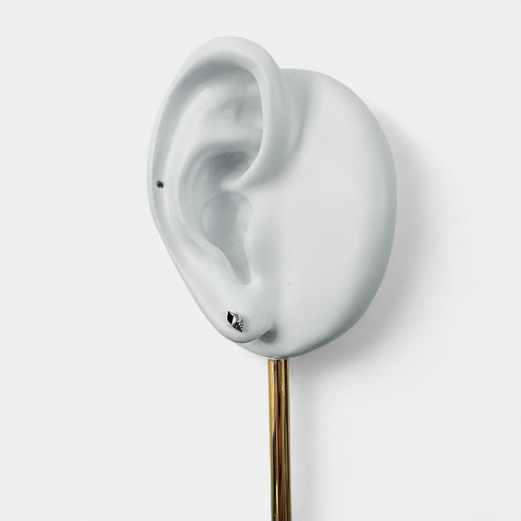 Sterling Silver Conch Shell Stud Earrings: Coastal Jewellery