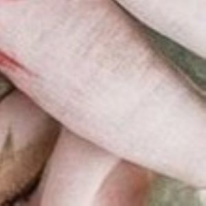 Blush Thistle Sketch Scarf