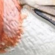 Magnetic Robin Brooch