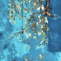 Van Gogh Silk Almond Blossom Scarf